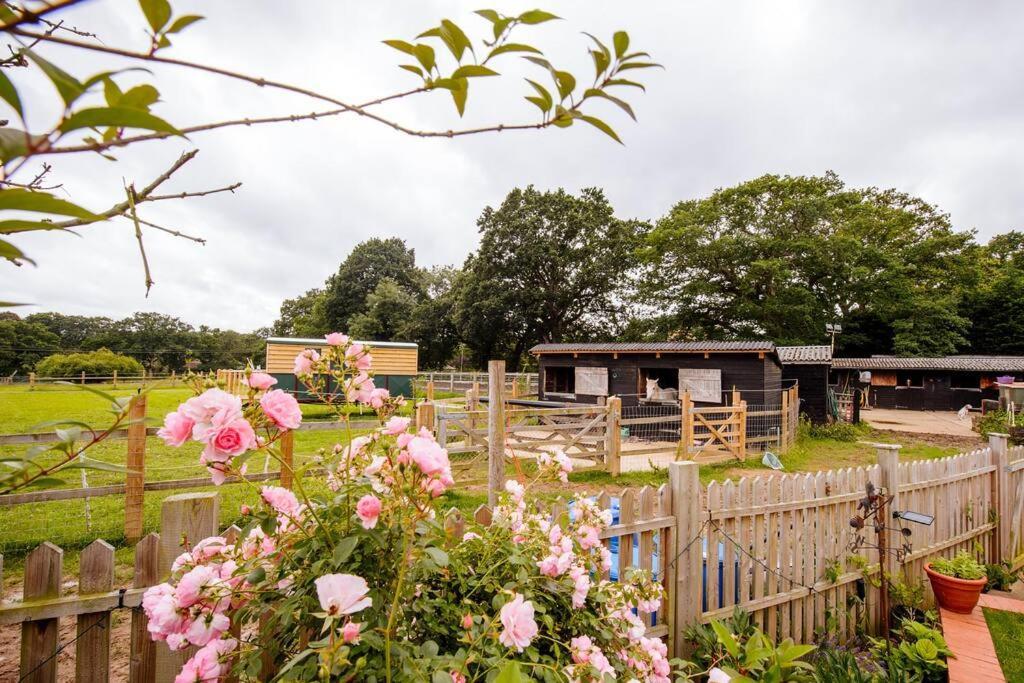 Blackberry Annex. Detached Cottage. Rural Location Holiday home