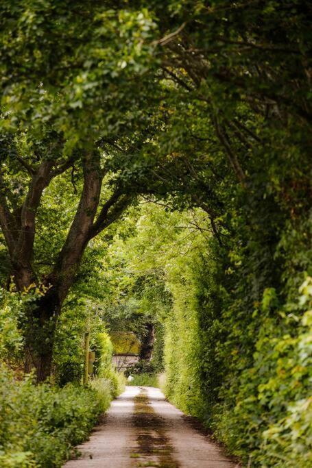 Blackberry Annex. Detached Cottage. Rural Location West Chiltington